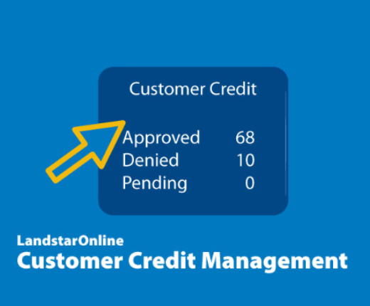 Customer Credit Management At Your Service